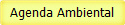 Agenda Ambiental
