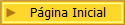 P�gina Inicial